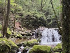 -牛背梁国家森林公园