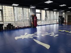 -咏春拳学总会·一拳咏春(双井店)