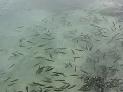 -青海湖二郎剑景区