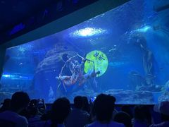 -多彩贵州城极地海洋世界