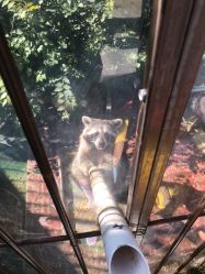 -萌宠亲子动物乐园(槐房万达店)