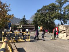 -北京鹫峰国家森林公园