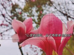 -缙云山景区