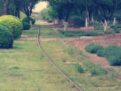 -永定河休闲森林公园