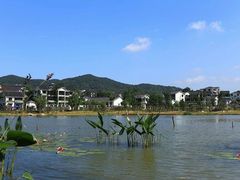 -石塘人家