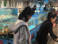 -盒马渔市(平高企业集团·平高广场店)