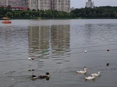 -黄兴公园