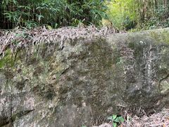 -缙云山景区