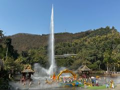 -西双版纳原始森林公园