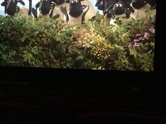 -佳兆业国际影城(鞍山店)