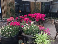 -瓦库茶馆17号(海汇港店)