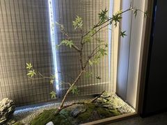 -臻品足道(佛祖岭店)
