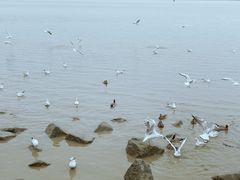 -深圳湾公园(南山区)