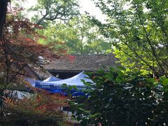 -兴福老面馆(寺路街店)