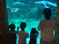 -华夏文旅海洋公园