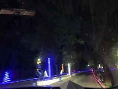-枫花园汽车电影院(朝阳公园店)