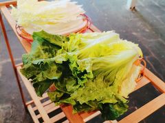 -蘑统田下·野生菌火锅