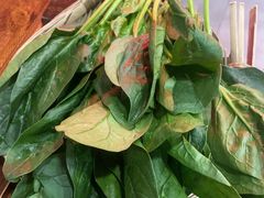 -楠火锅(西单店)