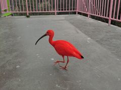 -宁波野生动物园