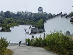 -深圳国际园林花卉博览园