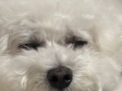 -乖乖宠物医院·猫科·骨科·24小时(云岗分院)