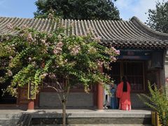 -荣国府