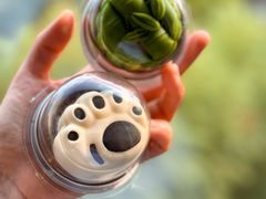 -眉州东坡(民族园店)