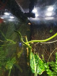 -酷嗒动物文化乐园(cutezoo西溪乐天城店)