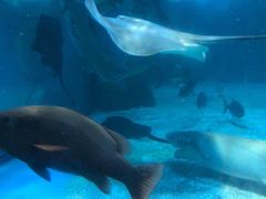 -常州海昌海洋探索馆