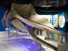 -青岛海底世界-水族馆