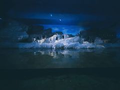 -暹罗海洋世界