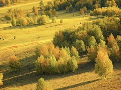 -塞罕坝国家级自然保护区