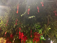 -南京大牌档(香港广场店)