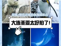 -大连圣亚海洋世界