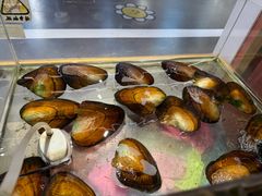 -十八字金银饰·拼豆·开蚌手工体验团建(君太百货店)