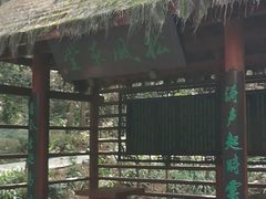 -铁山坪森林公园