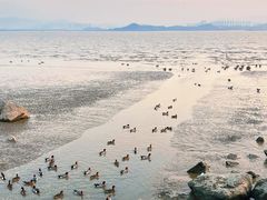 -深圳湾公园(南山区)