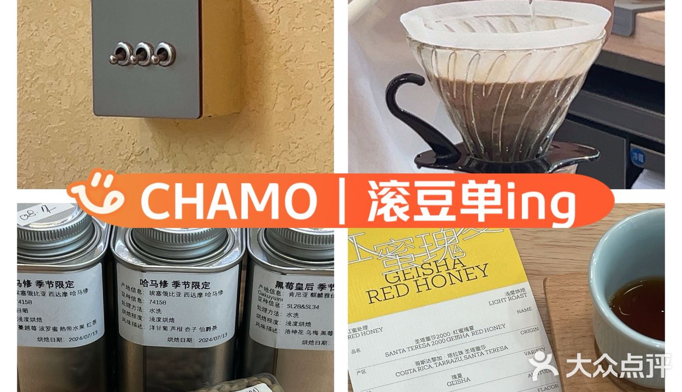 尝豆记｜CHAMO｜🇨🇷特蕾莎+🇪🇹西达摩