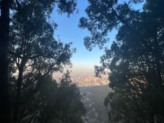 -佛慧山