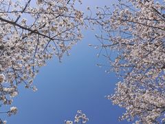 -堤角公园