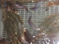 -沈家门海鲜夜排档(东港店)