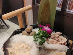 -淼福猪肚鸡·椰子鸡火锅(大沙地店)