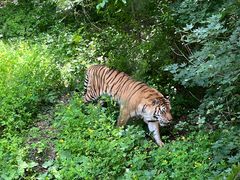 -哈尔滨北方森林动物园