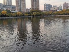 -文瀛公园