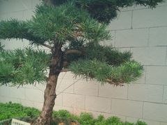 -西南林业大学(白龙校区)