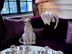 -Salon de Ville浦江汇(上海外滩华尔道夫酒店店)