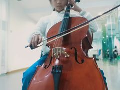 -爱乐蒙艺术·古筝 钢琴 声乐(科华校区)