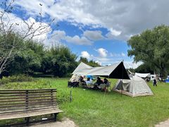 -上海共青森林公园