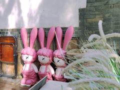 -三忘湖 SWANSEEN(柳荫公园店)