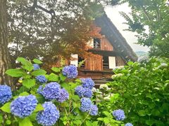 -白川乡与五箇山的合掌构造村落